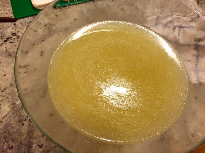 Chicken and Dumplings 9