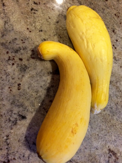crookneck-squash-1