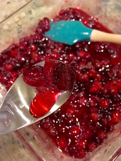 cranberry-sauce-10